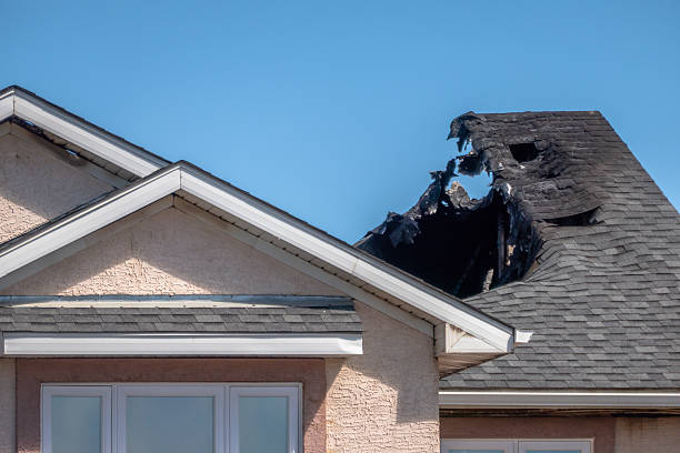 Top rated local Fire Damage Removal specialists in King of Prussia, PA